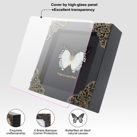 Polyura Nepenthes Butterfly Framed Decoration - Handmade Taxidermy Butterfly Shadow Box Collection, Framed Butterfly Taxidermy for Gothic Home Decor