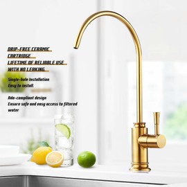 Achelous Brushed Gold Kitchen Water Filter Faucet,Stainless Steel Lead-Free Drinking Water Faucet Fits Reverse Osmosis Units or Filtration System in Non-Air Gap