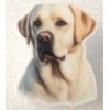 Yellow Lab Labrador Retriever Dog Gorgeous Flat Acrylic Pin Tac