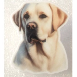 Yellow Lab Labrador Retriever  Dog Gorgeous Flat Acrylic Pin Tac Jewelry