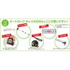 Niigataseiki SK Auto Lock Pro KAIDAN Quick Step Graduations 16mm