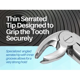 ARTMAN INSTRUMENTS Dental Extraction Forceps (Upper Bayonet for Roots #51) Stainless Steel Tooth Removal Forceps for Oral Surgery (Upper Bayonet for Roots #51)