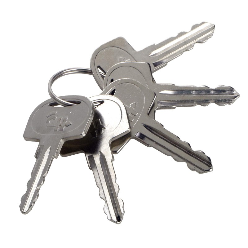 GAOHOU 5Pcs 601 Ignition Key Compatible for Sany Mini Excavator