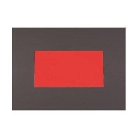 200x300x1.0mm 蛍光マグネットシート(ﾚｯﾄﾞ)