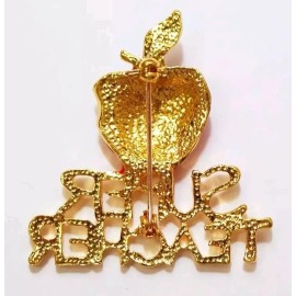 Rinhoo Jewelry Teacher Appreciation SUPER TEACHER Red Apple Rhinestones Brooch Pin NEW