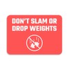Classic Framed Plus Don't Slam Or Drop Weights Door or