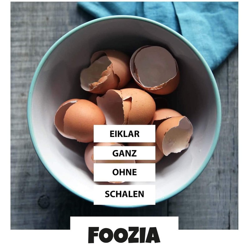 Foozia Eiklarpulver Pures Eiklar Pulver Eier aus ?sterreich Egg White