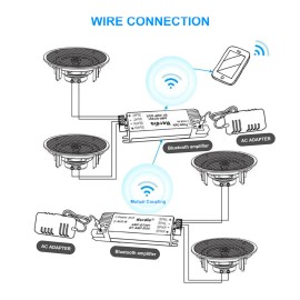 Herdio 2xBluetooth In-Wall/Ceilin