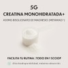 Creatine Monohydrate Magnesium | Redefinimos el Estándar en Suplementación |
