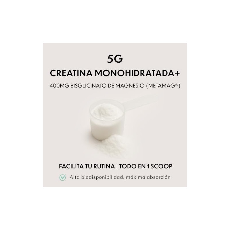 Creatine Monohydrate Magnesium | Redefinimos el Estándar en Suplementación |