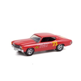 ModelToyCars Doc Mayner's 1972 Chevy Chevelle, J. Gallery Drainage - Greenlight 30315-1/64 Scale Diecast Car