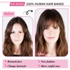 Allyreetress Clip in Bangs Clip in Hair Extensions Clip on