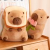 NatureMan Cute Capybara Stuffed Animals,Kawaii Capybara Plush Toys, 30cm Capybara