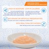 INABA Churu Skin & Coat Natural Lickable Wet Treat for