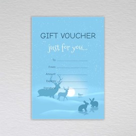 Webspectations Pack of Christmas Gift Vouchers: Snow Scene Gift Vouchers (Pack of 20 without Envelopes)