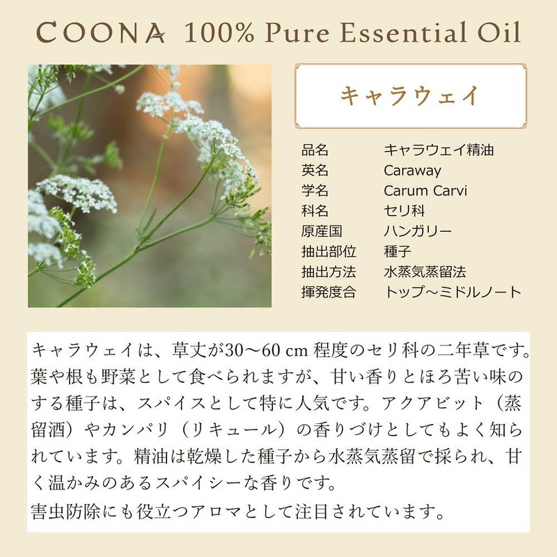 Callaway 10ml (COONA Essential Oil, Aroma Oil, 100% Natural Vegetable