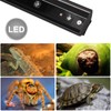 Aiicioo Reptile LED UVB Light - LED Terrarium Light with