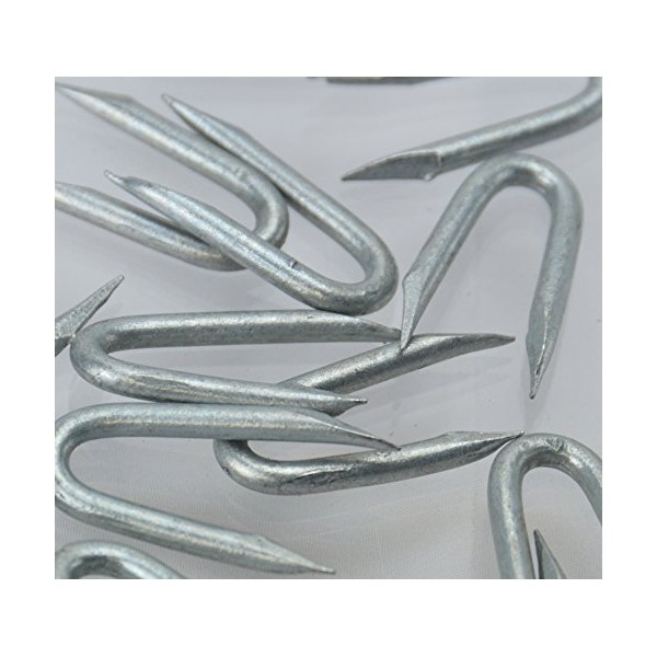 Galvanised Staples (CHOOSE YOUR NAIL SIZE) (CHOOSE YOUR PACK SIZE)