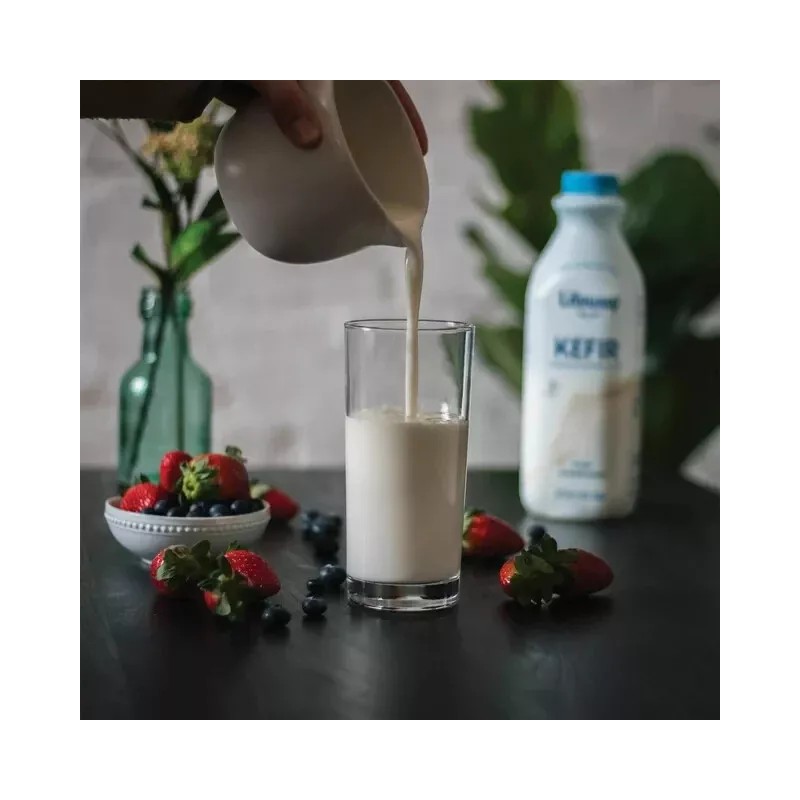 LifeWay 4 Bottles Lifeway Lowfat Milk Plain Kefir 12 Probiotic