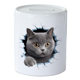 GRAZDesign Funny Cat Money Box with Cat Motif - Wall Crack - Money Gift for Adults and Children Made of Ceramic