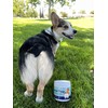 Great Poop Probiotics for Dogs - Fiber for Dogs Supplement