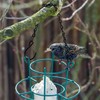 4 Pack Hanging Chain Set with Hooks for Bird Feeders,