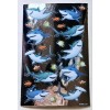 American Greetings Sharks / Sticker Single sheet.