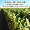 NICHIGA(ニチガ) 沖縄県産 秋ウコン 粒 150ｇ 約750粒 栽培期間中農薬不使用 クルクミン ミネラル豊富 約75日分