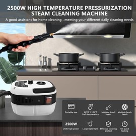 Handheld Steam Cleaner, 2500W Pressurized Steam Cleaner with 3 Brush Heads, Portable Steam Cleaner for Home, Car, Furniture, Kitchen, Bathroom and Wall, White