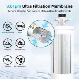 Weiss Wasser 0.01μm Under Sink Water Filter, Multi-Stage Ultra Filtration for Baçtёria, Chlorine & Odor Reduction, 9K Gal/2-Yr, Easy Install with Dedicated Faucet, WU2.SH01-Y