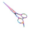 Hair Cutting Scissors Stainless Steel High Sharpness Ergonomic Handle Hairdressing