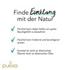Pukka | Bio-Kräutertee „Drei Fenchel“ | Süßfenchelsamen, Wilder Fenchel und