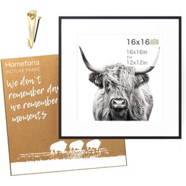 Homeforia 16x16 inch Square Picture Frame - 16 X 16 Frame Matted To 12x12 - Standard Square Photo Frames For 12 X 12 Picture- 12x12 Mat - Tempered Glass - Wall Hook Included - Set of 1 - Black