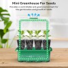 10-Pack Seed Starter Kit with Humidity Dome - Mini Greenhouse
