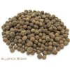 Allspice Berry and Green Tea Herbal Infusion (Jasmine - 25