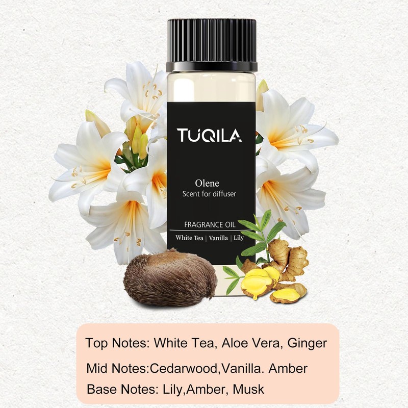 Hotel Luxury Essential Oil Set (3x20mL) – Scent Aromatherapy Oils