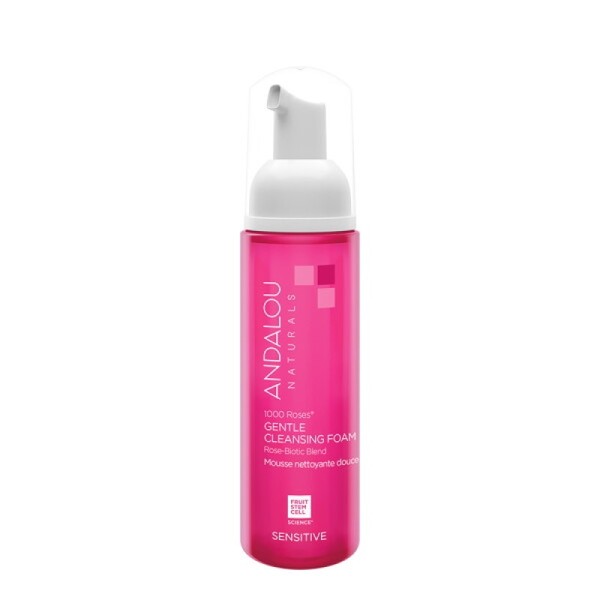 Andalou Cheonsongi Mildly Acidic Cleansing Foam 163ml (1 bottle) /