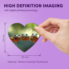 1 x Heart MDF Magnets - Tree Frogs Java Flying Frog Branch 15888