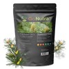 Go Nutra - Pine Pollen Powder, Potent 10:1 Pine Pollen