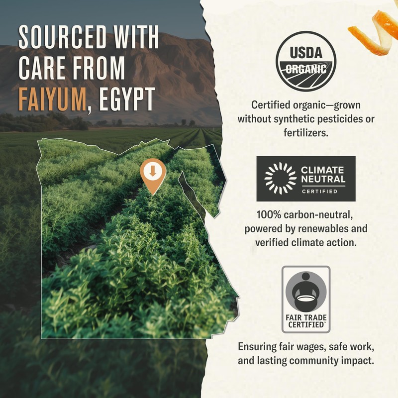 Numi Organic Moroccan Mint Tea, 18 Herbal Tea Bags, Microplastic