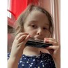 East top Chromatic Harmonica key of C, 10 Holes 40
