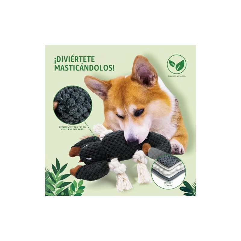LEGEND SANDY - Juguetes Masticables y Juegos para Perros, Juguete