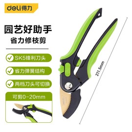 Deli Garden Pruning Shears, 8.5-inch, SK5 Steel Blade, 0-20mm Cutting Capacity, Green and Black