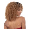 FREE TRESS FreeTress Equal Wig Curlified 5X5 Hand-Tied Crochet Wig