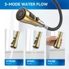 Gold Kitchen Faucet with Sprayer,Single Handle Kitchen Sink Faucet with