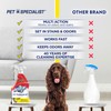 Resolve Pet Specialist Urine Destroyer Spray – Pet Stain &