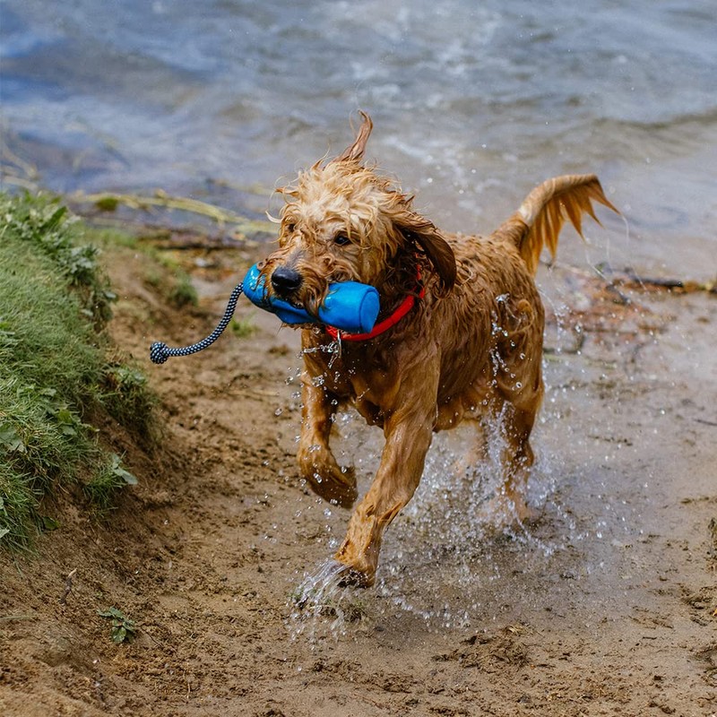 Nobby Snack Dummy Rio