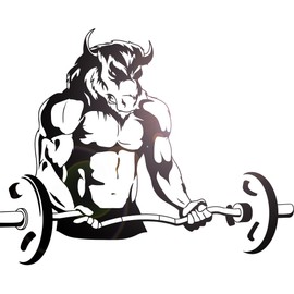 Wall Decal Home Gym Bull Barbell Fitness Modern Interior Decor z5307