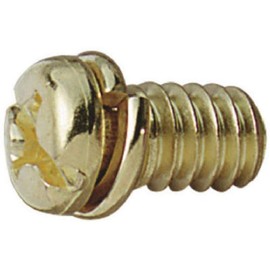 Westinghouse 77047 Motor Screw, Brass, 10-Pack,White