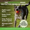 Pet Honesty Grass Green Dog Chews - Urine Neutralizer for